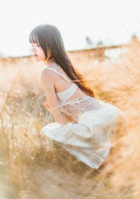 上阵父子兵电视剧免费全集