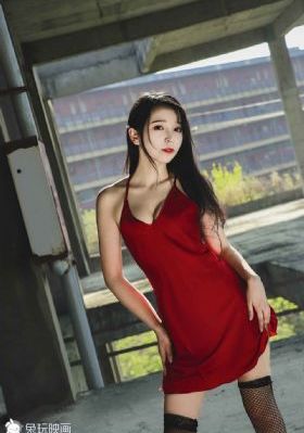 亲爱的律师大人
