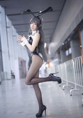 德川女系图