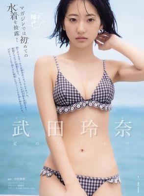 免费vip电视剧